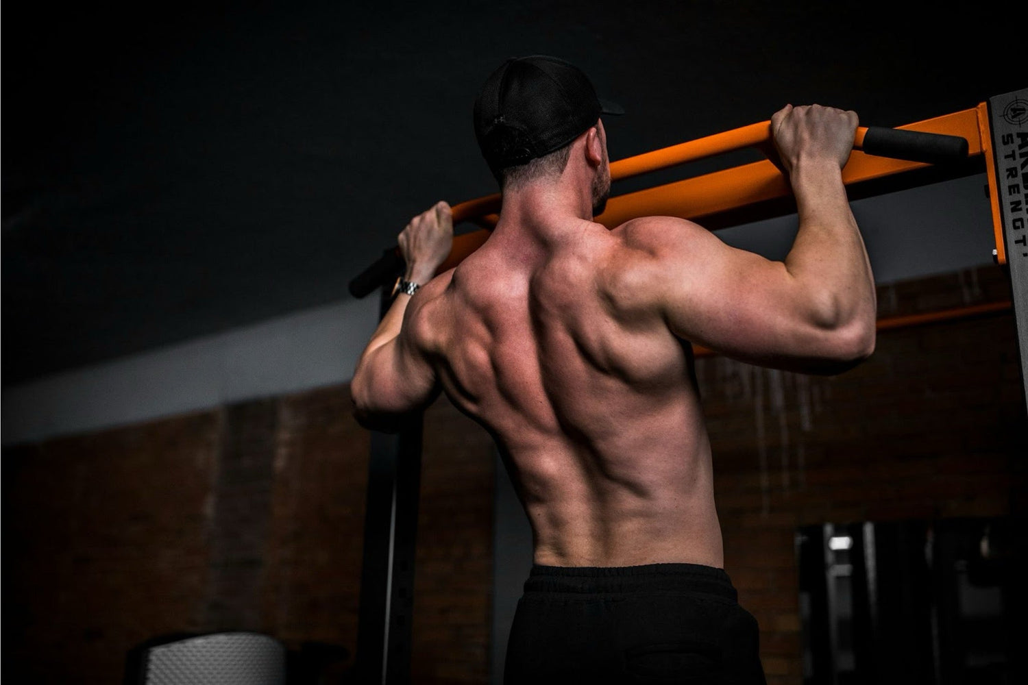 Bro Split Workout: The Ultimate Guide to Train & Build Major Muscle Groups