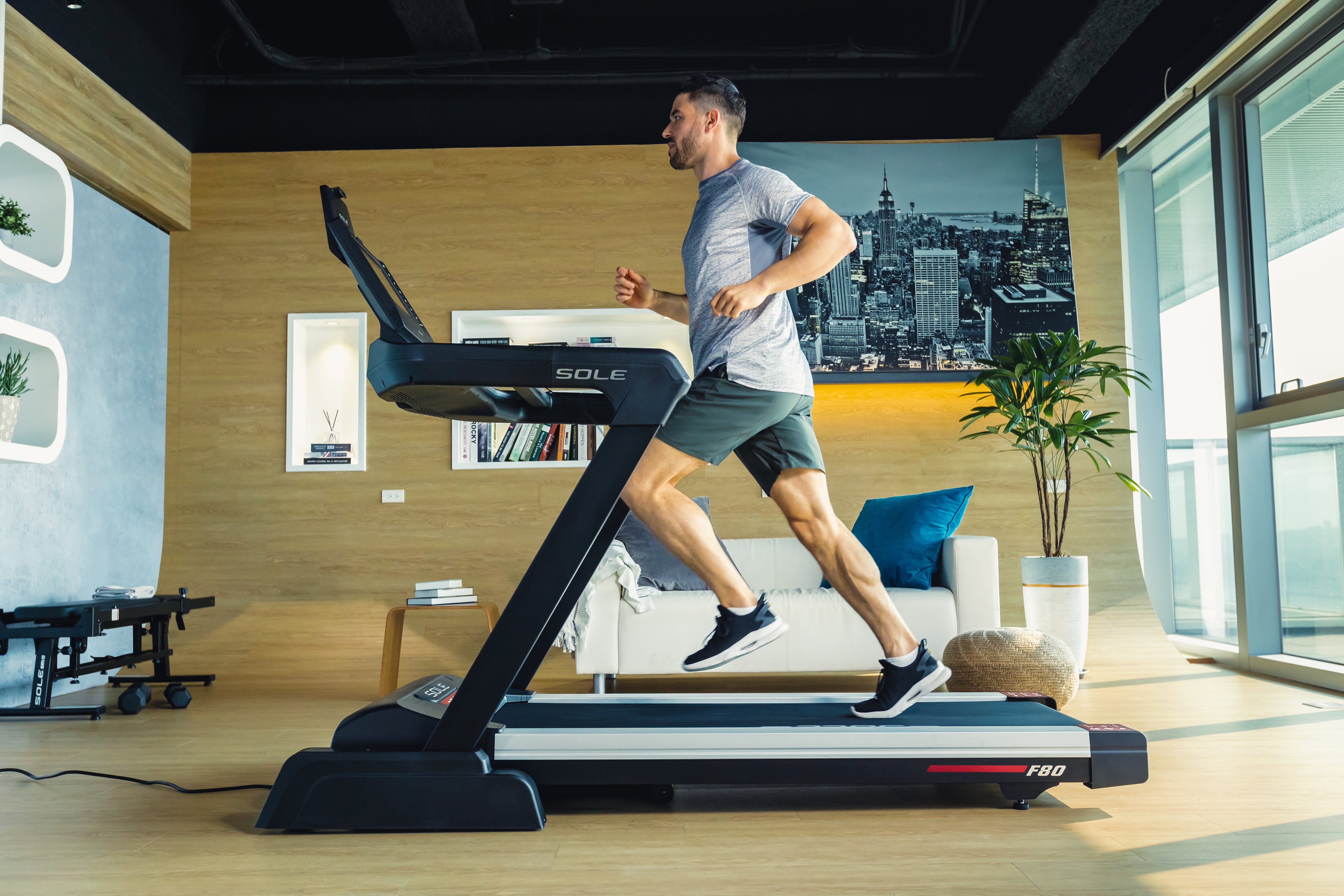 SOLE F80 Treadmill